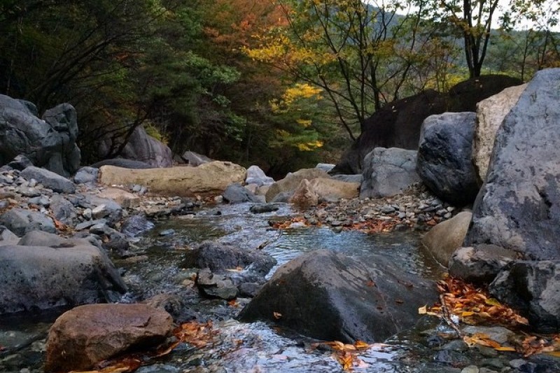 迦智山道立公园 (3/3)