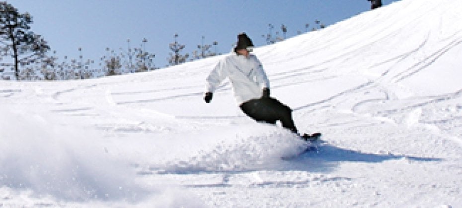 大明维瓦尔第滑雪一天团/接驳车 VIVALDI PARK ONE DAY SKI TOUR / shuttle service (10/36)