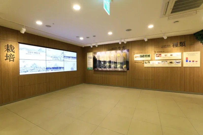 清河高丽人参[韩国观光品质认证/Korea Quality]청하고려인삼 [한국관광 품질인증/Korea Quality] (13/27)