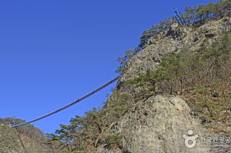 原州小金山吊桥원주 소금산 출렁다리 (6/23)