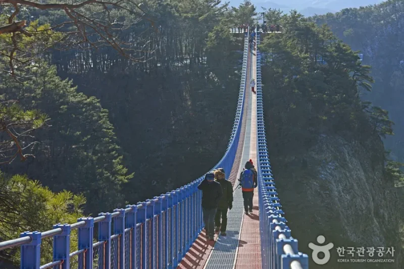 原州小金山吊桥원주 소금산 출렁다리 (9/23)