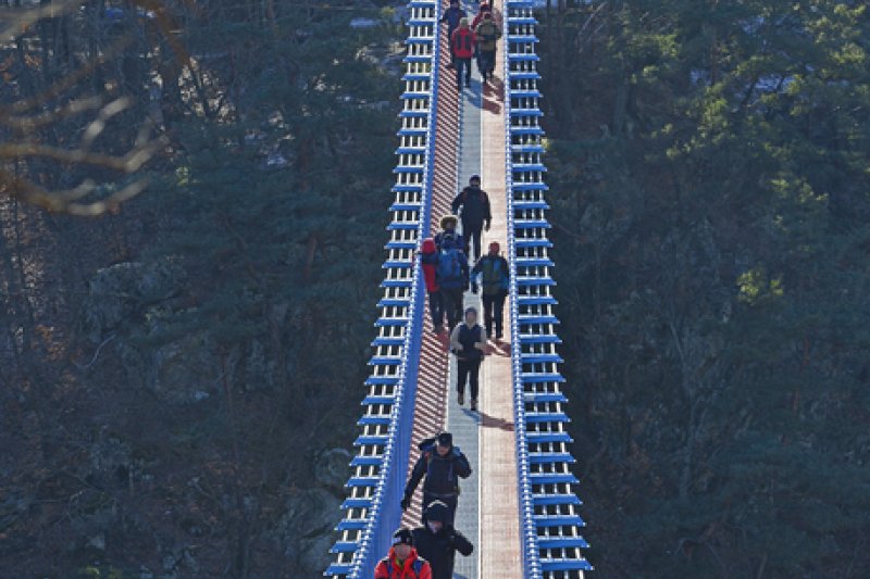 原州小金山吊桥원주 소금산 출렁다리 (11/23)