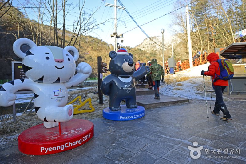 原州小金山吊桥원주 소금산 출렁다리 (14/23)