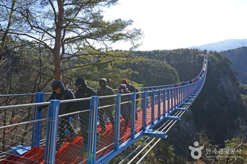 原州小金山吊桥원주 소금산 출렁다리 (15/23)