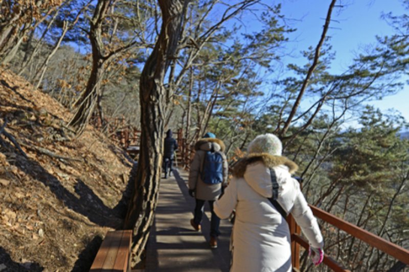 原州小金山吊桥원주 소금산 출렁다리 (16/23)