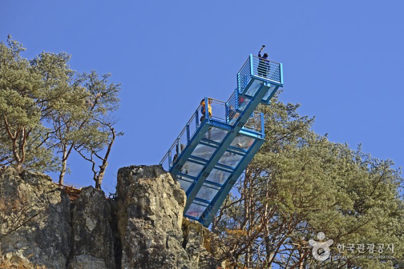 原州小金山吊桥원주 소금산 출렁다리 (17/23)