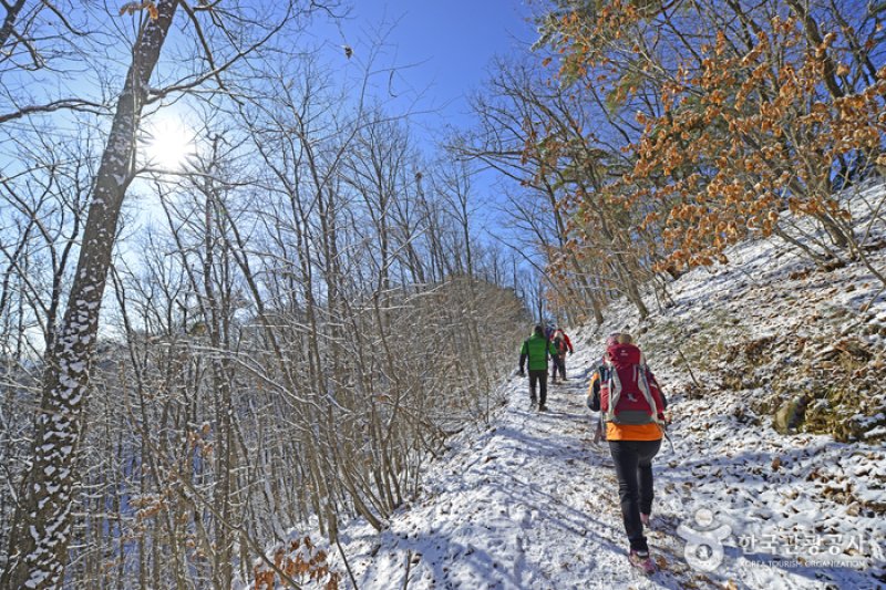 原州小金山吊桥원주 소금산 출렁다리 (19/23)