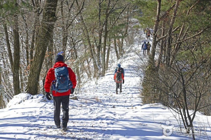 原州小金山吊桥원주 소금산 출렁다리 (21/23)