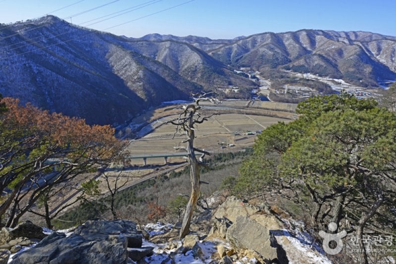 原州小金山吊桥원주 소금산 출렁다리 (23/23)