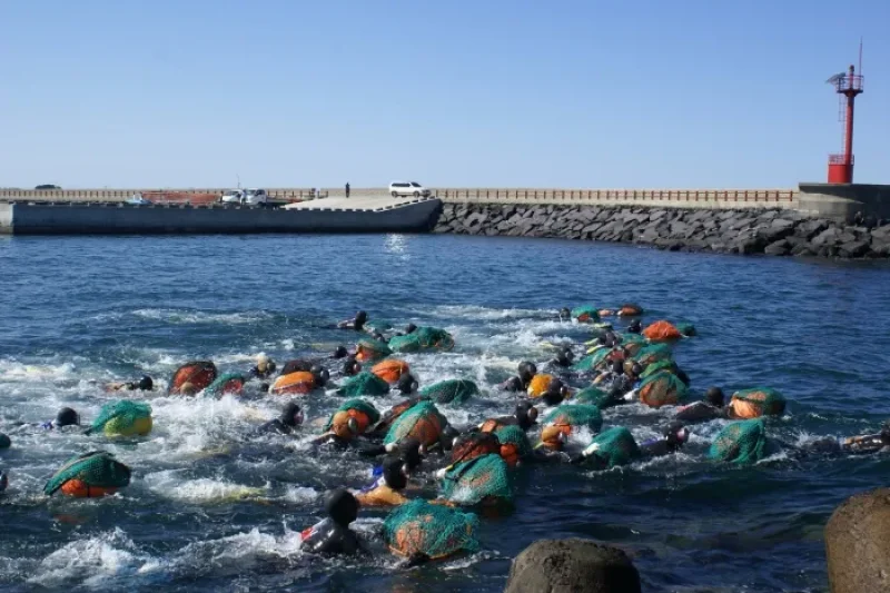 제주 해녀축제 2018 济州海女节 (2/3)
