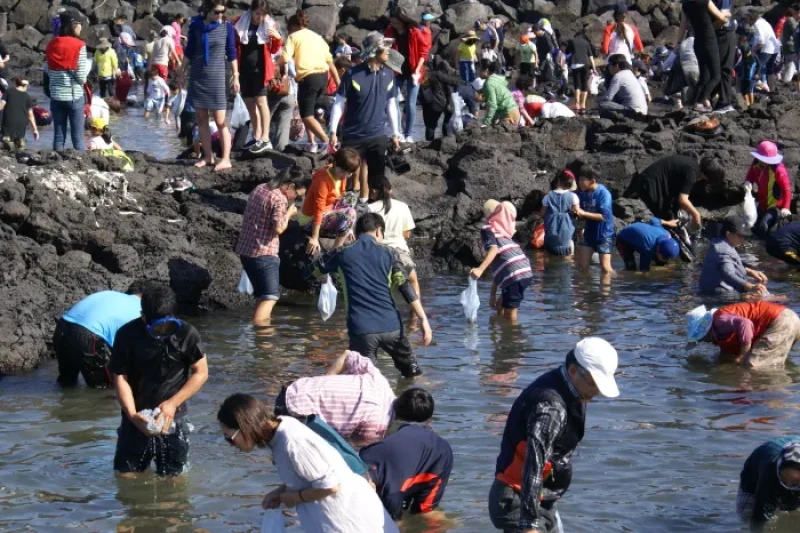 제주 해녀축제 2018 济州海女节 (3/3)