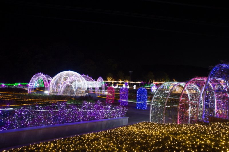 蔚山大公园玫瑰园星光庆典울산대공원 장미원 빛축제