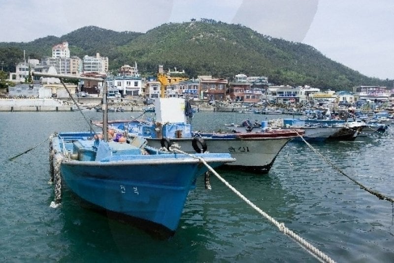 青沙浦청사포