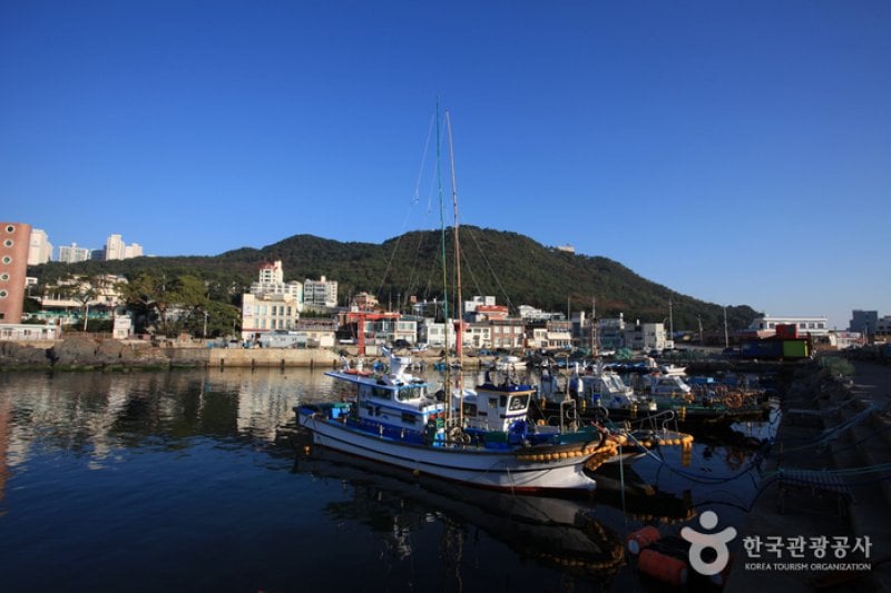 青沙浦청사포