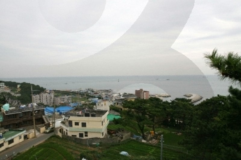 青沙浦청사포