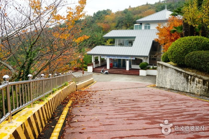釜山广域市金莲青少年修炼院