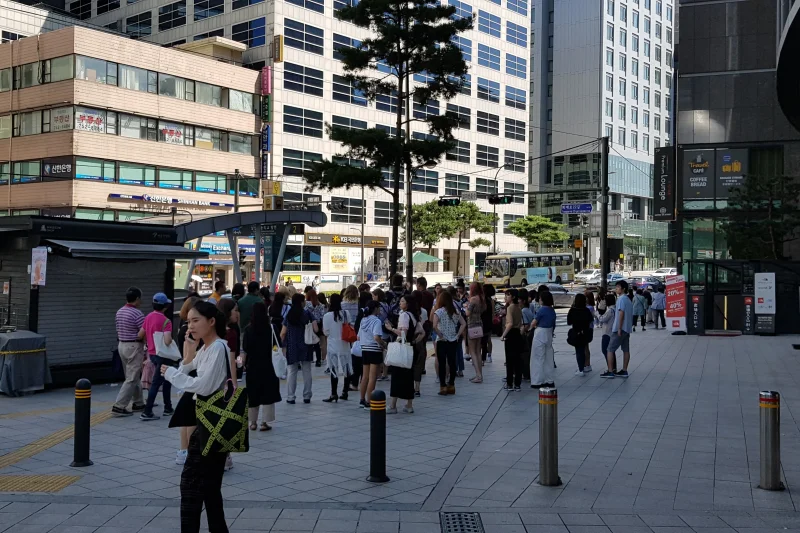 港湾公园大酒店 (50/64)