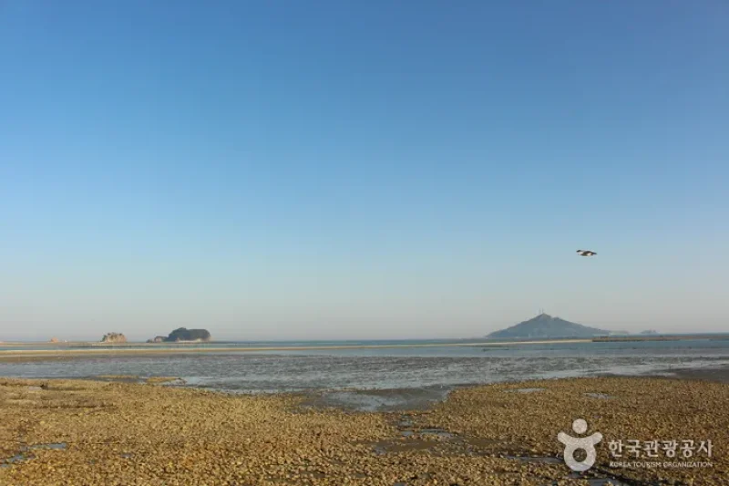 延平岛 (22/34)