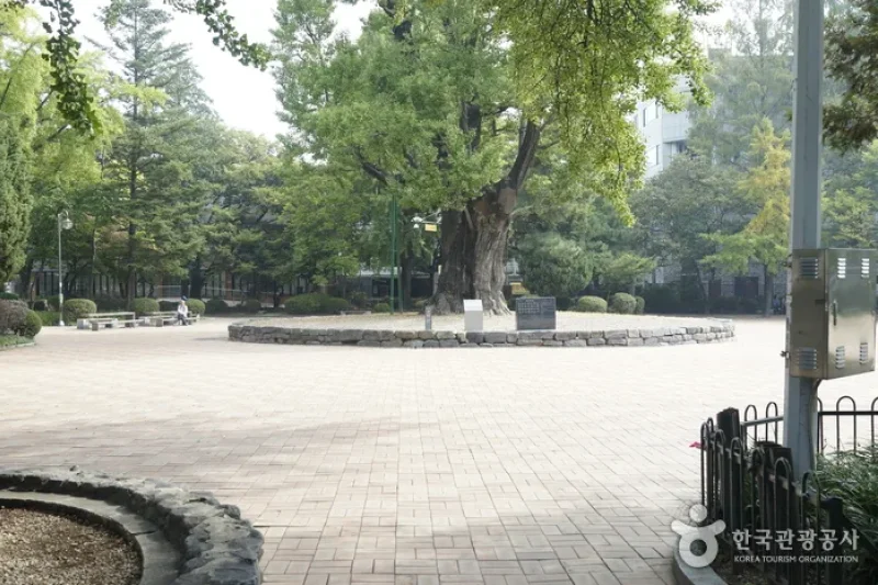 清州中央公园