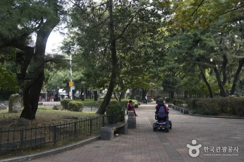 清州中央公园