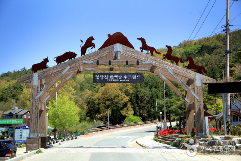 扁柏林 WOOD LAND <br >편백숲 우드랜드 (3/5)