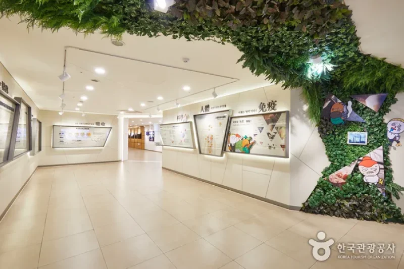 清河高丽人参[韩国观光品质认证/Korea Quality]청하고려인삼 [한국관광 품질인증/Korea Quality] (18/27)