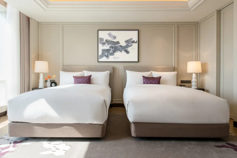 第40届韩国青龙电影奖(The 40th Blue Dragon Awards Red Carpet + Hotel Package) (2/6)
