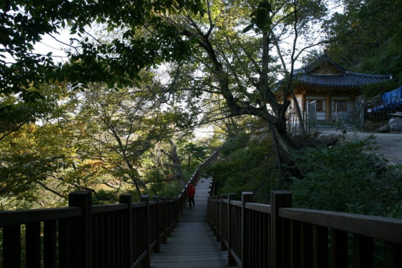 掷板庵