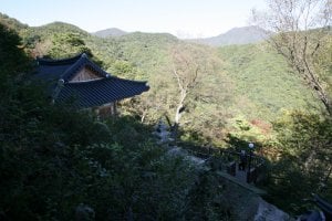 掷板庵