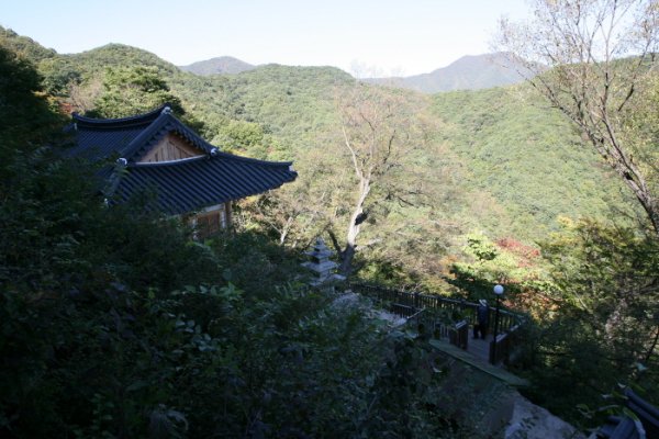掷板庵
