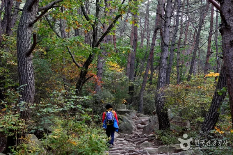 庆州南山 (4/4)