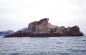蝟岛