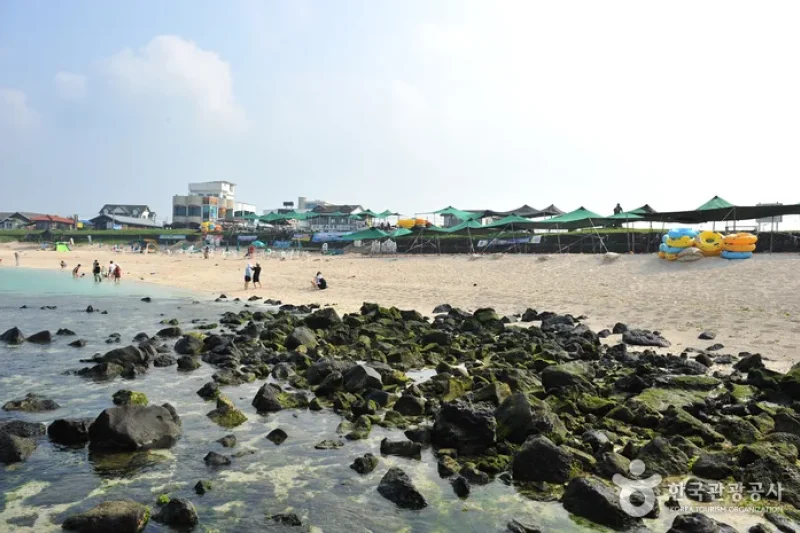 牛岛珊瑚海边