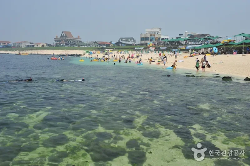 牛岛珊瑚海边