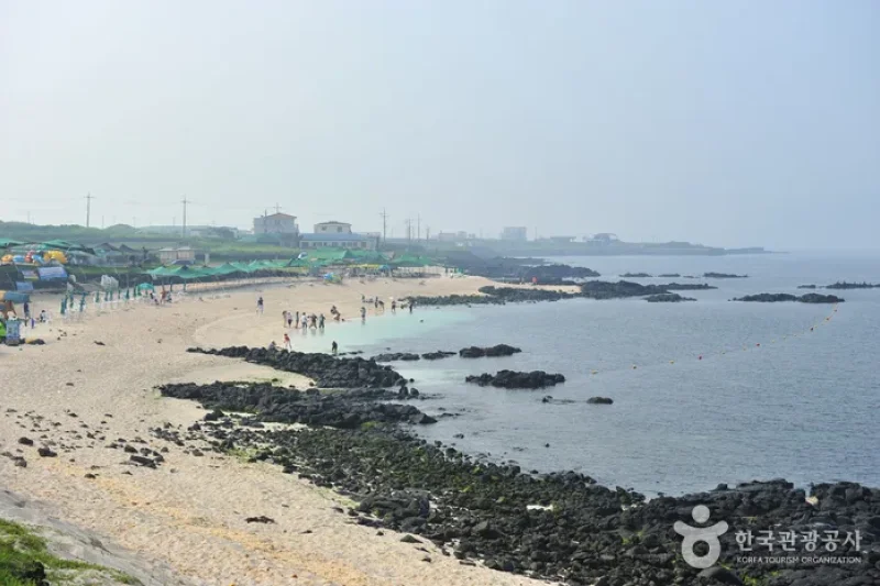 牛岛珊瑚海边