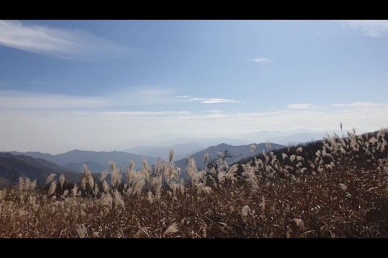 长安山郡立公园 (1/2)