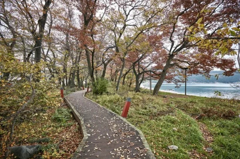 南海勿巾防潮鱼付林남해 물건리 방조어부림