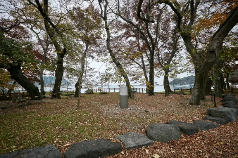 南海勿巾防潮鱼付林남해 물건리 방조어부림