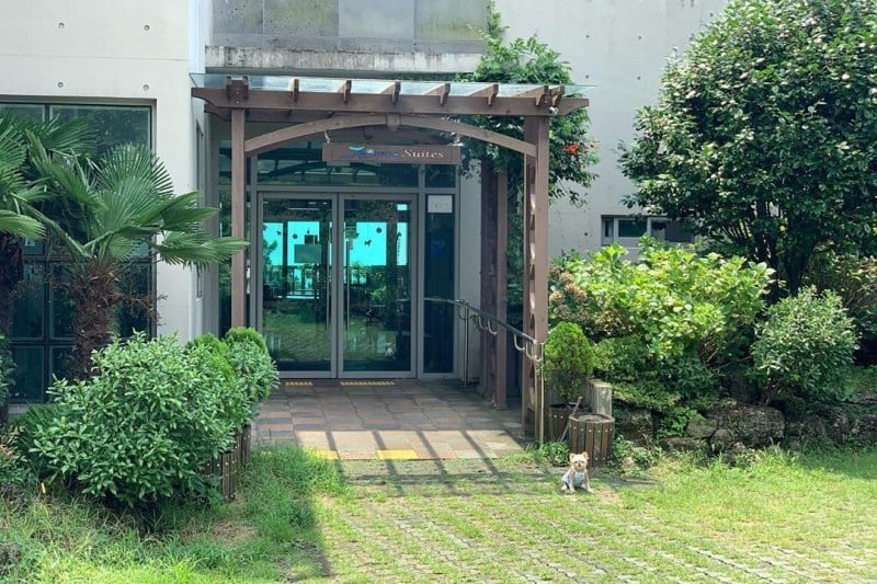 济州生态套房(Jeju Eco Suites)[韩国旅游品质认证/Korea Quality]（제주에코스위츠[한국관광 품질인증/Korea Quality]) (1/11)