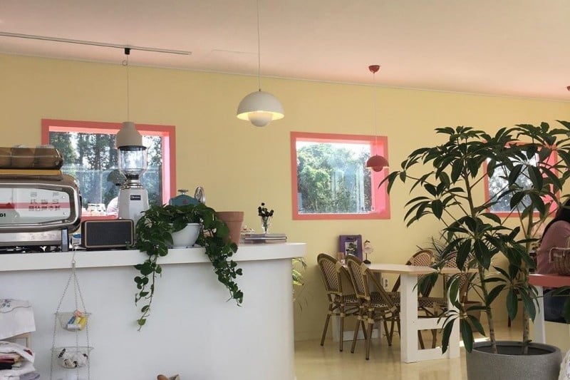 济州生态套房(Jeju Eco Suites)[韩国旅游品质认证/Korea Quality]（제주에코스위츠[한국관광 품질인증/Korea Quality]) (5/11)