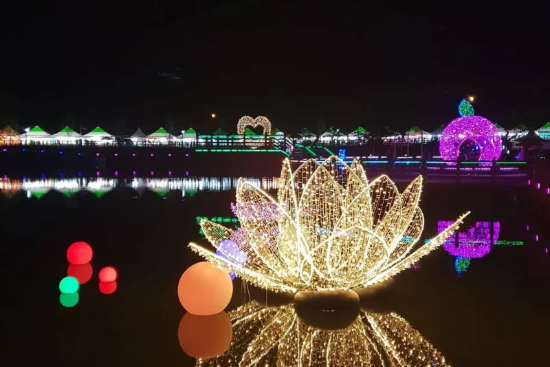 长水韩牛·苹果节장수한우랑사과랑축제 (1/3)