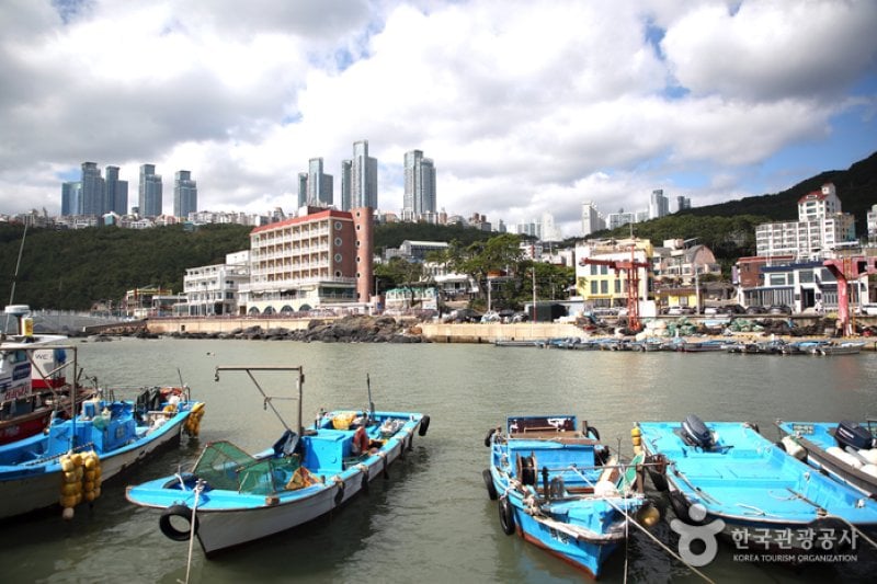 青沙浦청사포