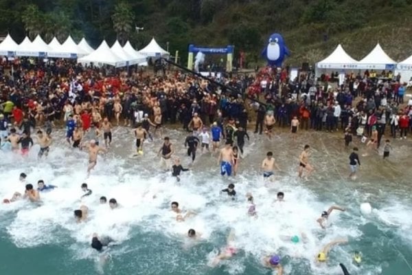 巨济岛国际企鹅冬泳庆典거제도 국제펭귄수영축제