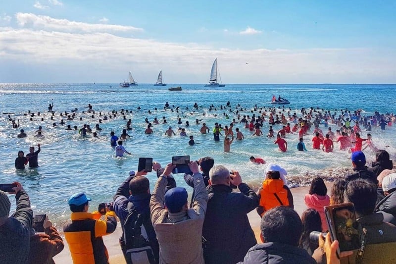 巨济岛国际企鹅冬泳庆典거제도 국제펭귄수영축제