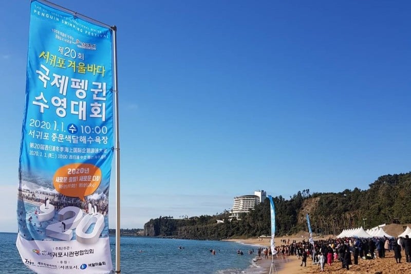 巨济岛国际企鹅冬泳庆典거제도 국제펭귄수영축제