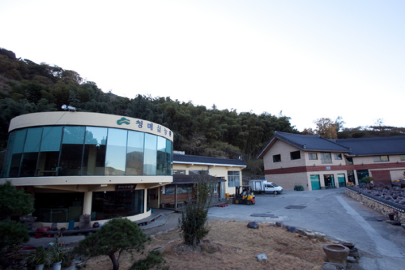 光阳青梅农园<br >광양 청매실농원 (9/9)