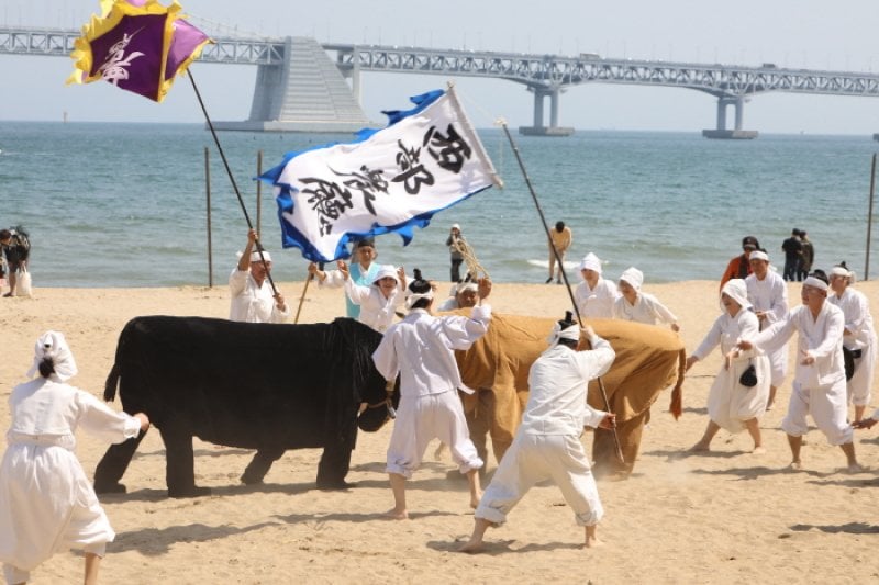 [文化观光庆典] 广安里渔坊节[문화관광축제]광안리어방축제