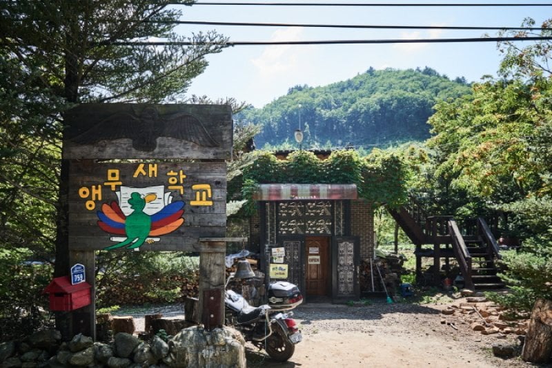 韩国鹦鹉学校한국앵무새학교 (5/6)