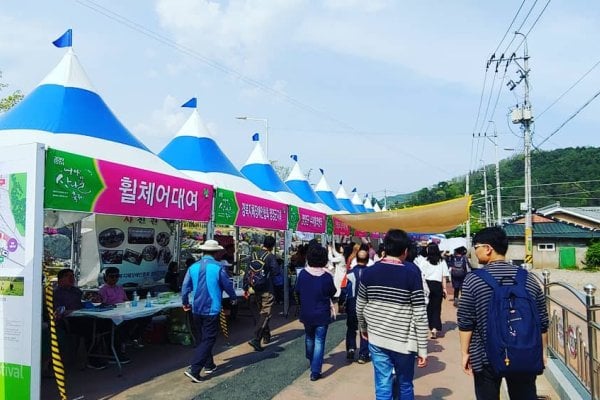 英阳山菜庆典