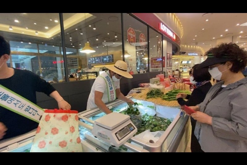 英阳山菜庆典 (4/4)